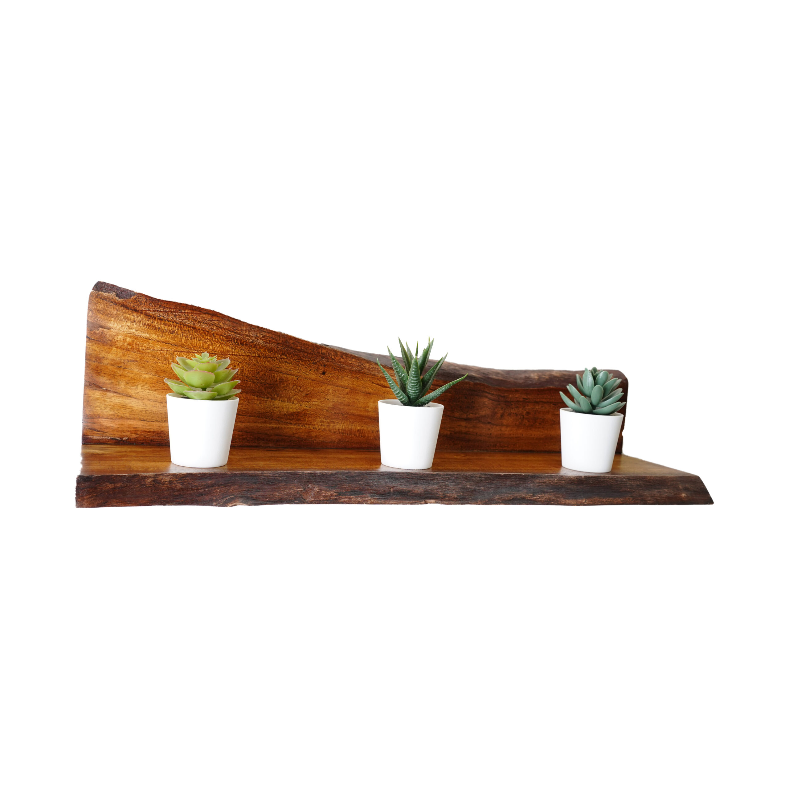 03-scaled-2.jpg Live Edge Shelf - Image 1